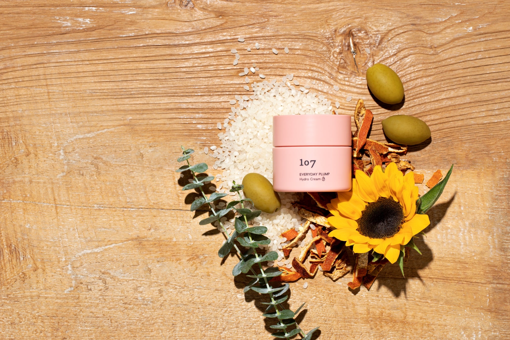 107 EVERYDAY PLUMP Hydro Cream