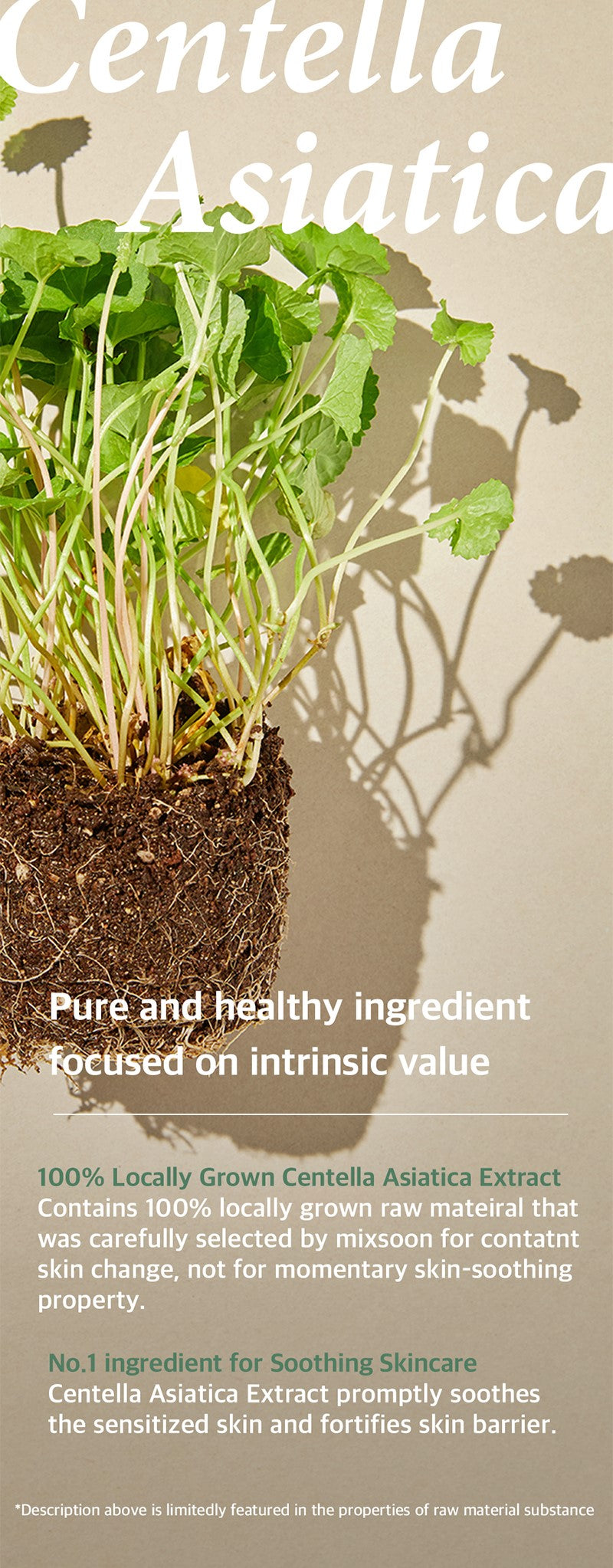 mixsoon Soondy Centella Asiatica Essence 100ml